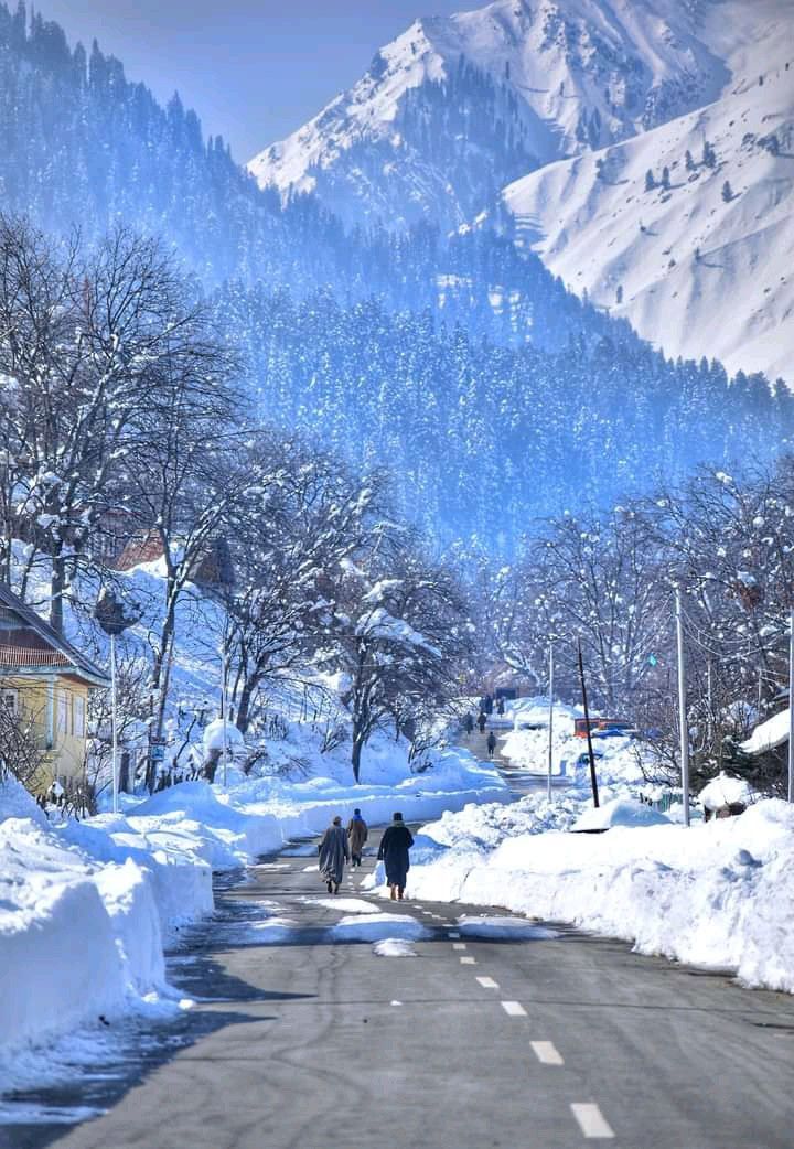 Kashmir Tour 7 Nights 8 Days